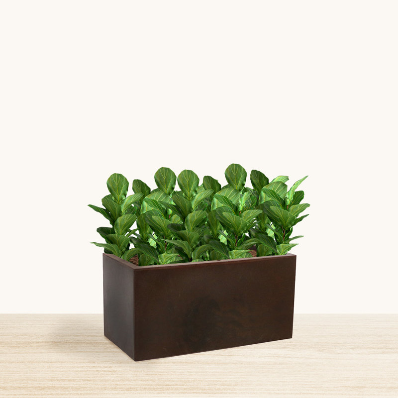 Walbert ECOBO Eco-Friendly Flower Planter Box, Bloco Indoor/Outdoor Four Season Use Marbled, Brown