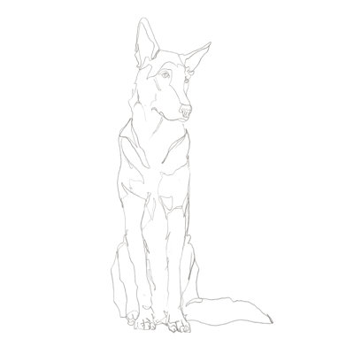 " Dog Contour I "