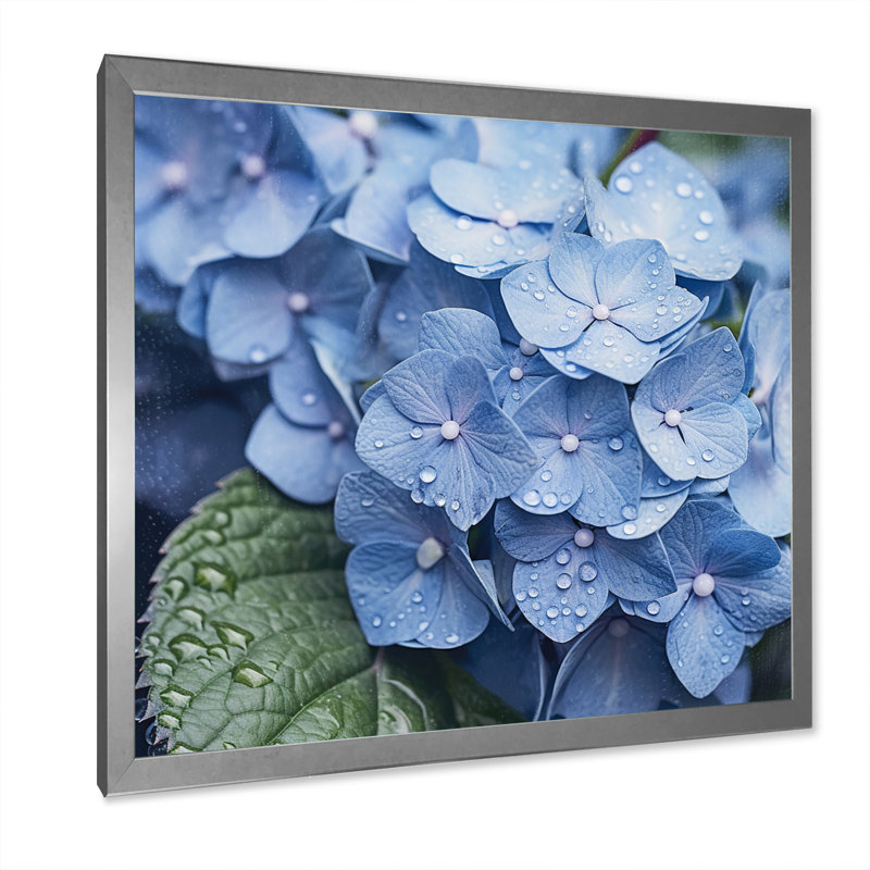 «Blue Green Hydrangea Blooms Heaven», reproduction sur toile, Cadre photo argenté, H 24 po x l 24 po x P 1 po