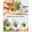 HDHPOT Ceramic Pot Planter