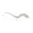 White Ceramic Antler Sculpture, Elegant Curved Design, Large 18", Unique Home Decor Accent, Ideal for Living Room Art and Modern Gallery-818349520