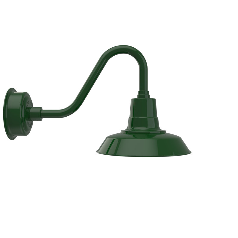 Luminaire de grange d'extérieur à DEL Haleigh, Vert Tage, H 14,03 po x l 12 po x p 22,25 po