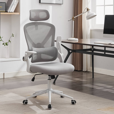 Inbox Zero Tarangini Mesh and Foam Padding Office Chair with Headrest