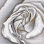 Toile encadrée botanique délicate rose blanche | Décoration intérieure