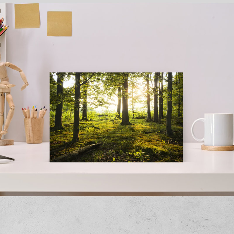 «Summer In The Woods Abstract Contemporary Forest Landscape», reproduction d'art mural, 12" H x 18" W