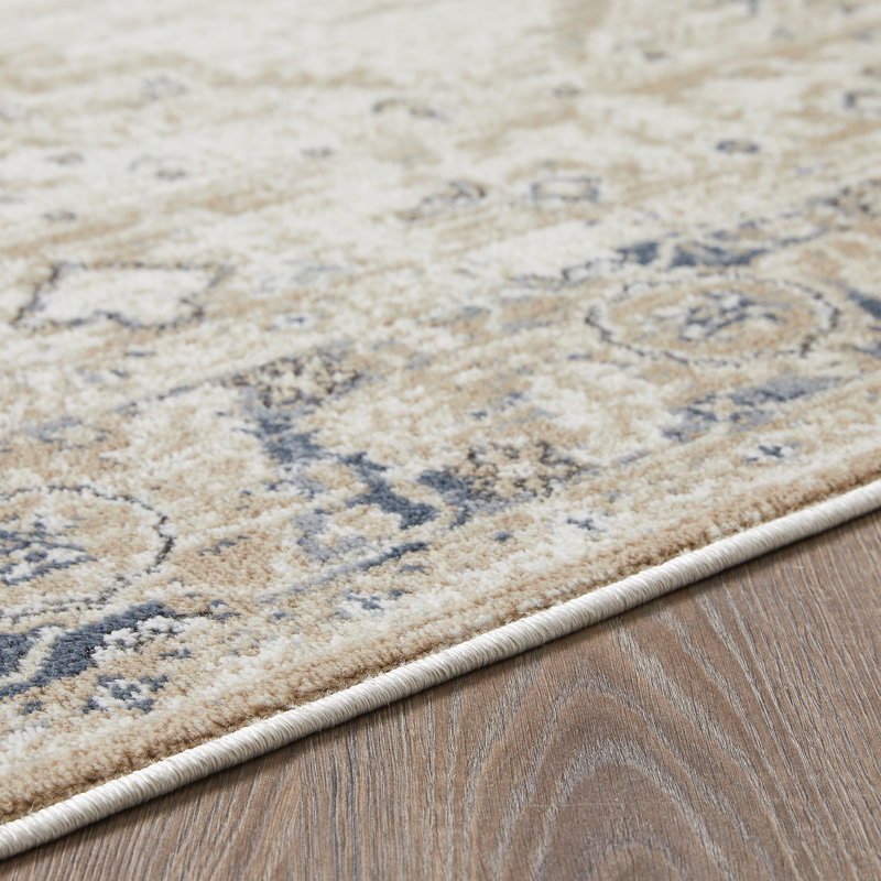 Aldonia Oriental Indoor Rug, Rectangle 4' x 6'