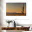 Ravi Tortolita Range-107687246