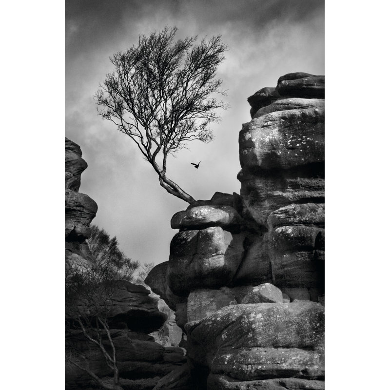 Rock Life - Wrapped Canvas Art Prints, 30cm H x 20cm W x 3.8cm D