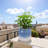 High-quality ceramic flower pots-66436087