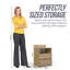 40cm W 2 - Drawer Chest of Drawers-2142888686