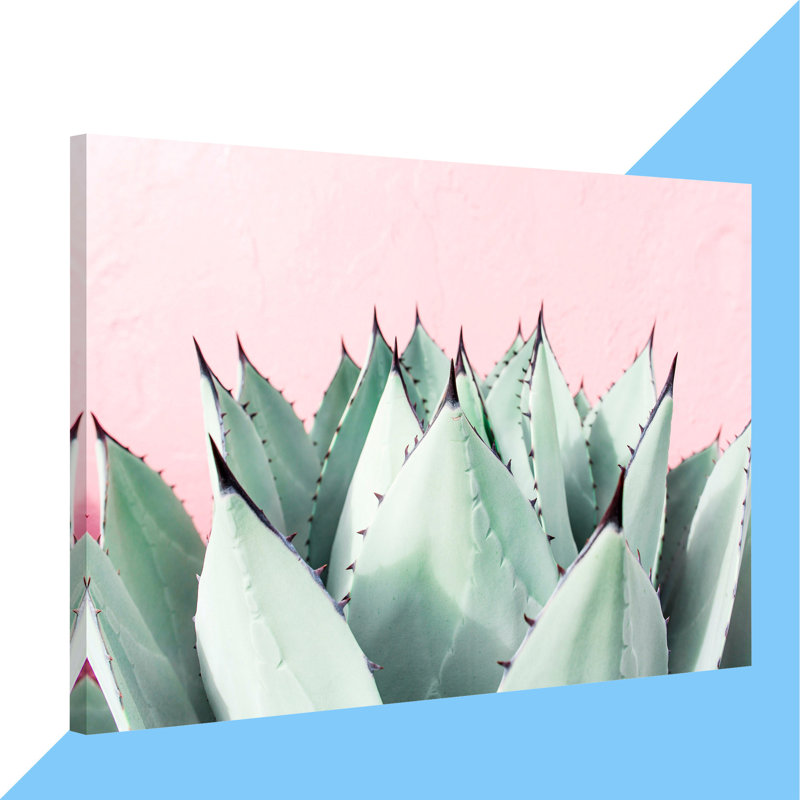 Abdirazaq Sweet Succulents - impression sur papier, H 12 po x l 18 po x p 1,5 po, Toile tendue
