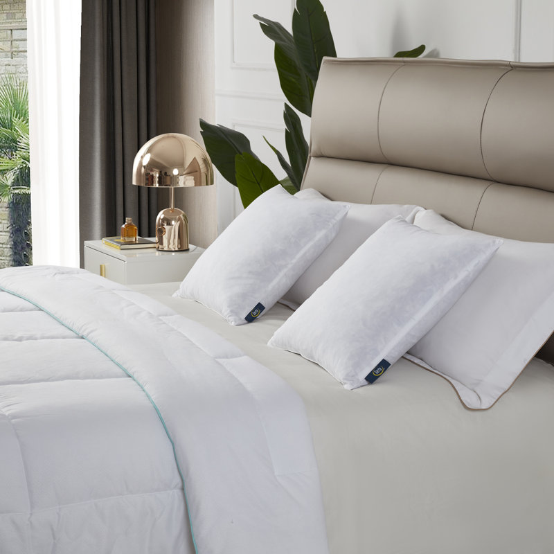 Serta 20x20'' Decorative Pillow Insert 2 Pack