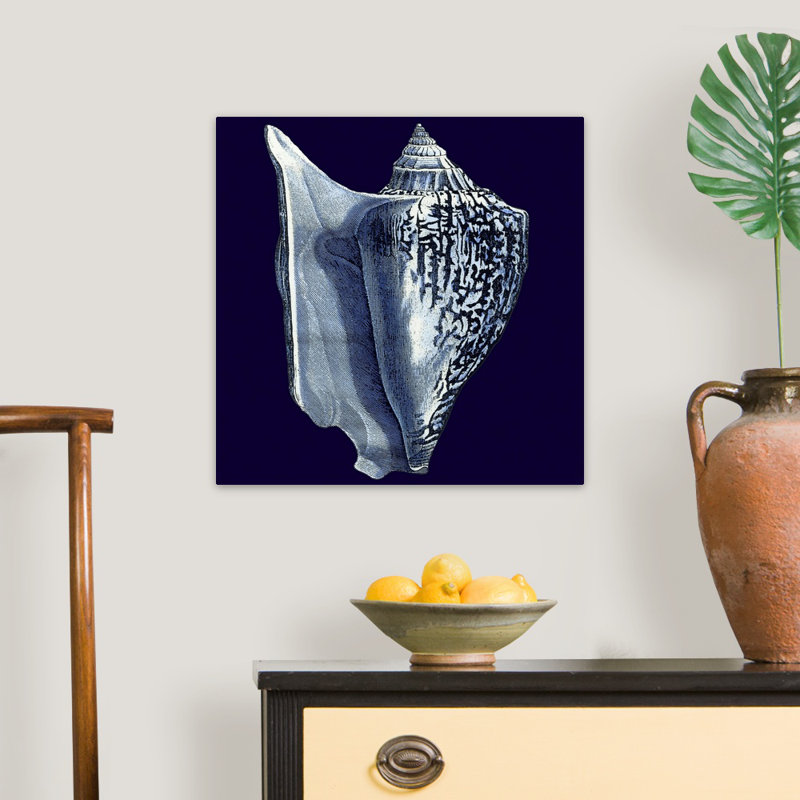 « Indigo shells I » par vision studio-impression, Toile tendue, H 30 po x l 30 po x 1,25 po