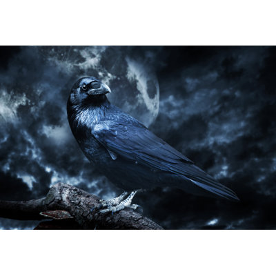 " Black Raven " by Niserin