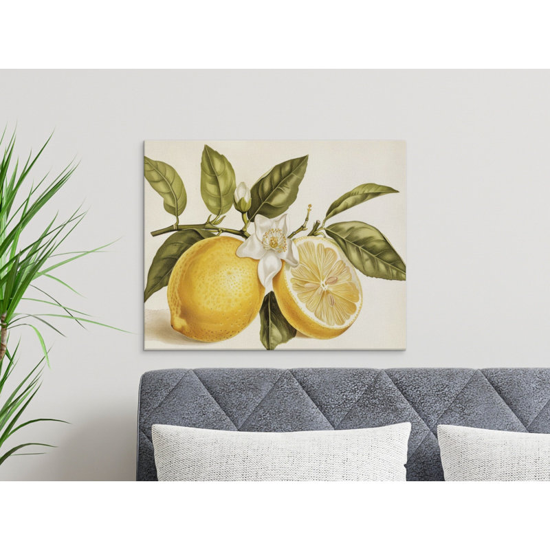 Setser Wrapped Canvas Print Set, 18x12