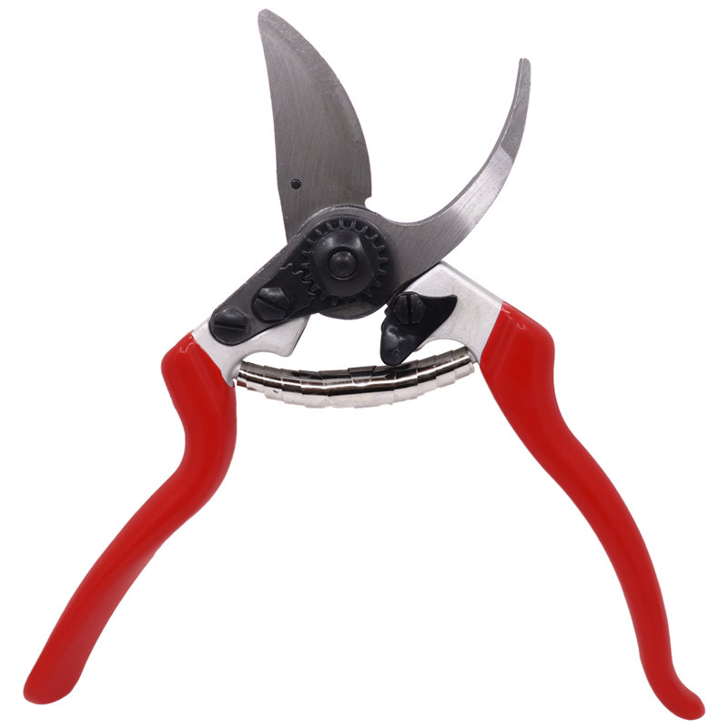 Zenport Pruning Shear Flowers