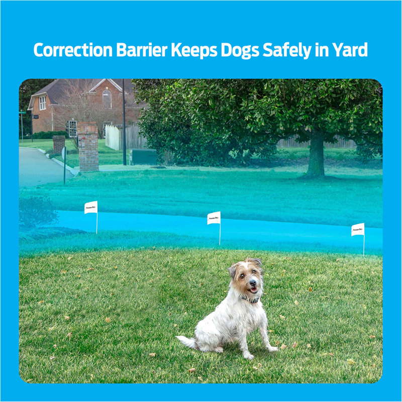 Premier Pet In-Ground Fence System