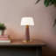 Clemence 11-in Red dimmable LED Table Lamp-110901815