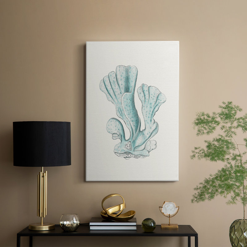 Antique corail de bord de mer antique - galerie Cavas sur mesure