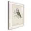 Little Owl Premium encadré mat - prêt à accrocher-1174590306-1174590308
