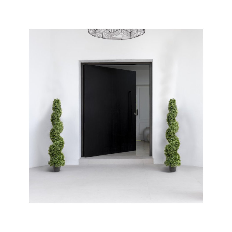 125cm Plant