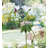 Be Jolly Garden Stake - Hydrangea
