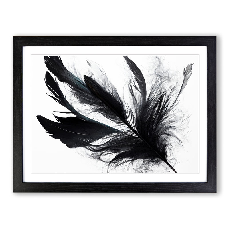 Sumptuous Bird Feathers - Single Picture Frame Print, 46cm H x 64cm W x 2cm D, Black Framed