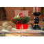 Arrangement floral de Noël en pot-1363918559-1363947668