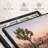 " Joshua Tree Patch Canvas Print "-101452319