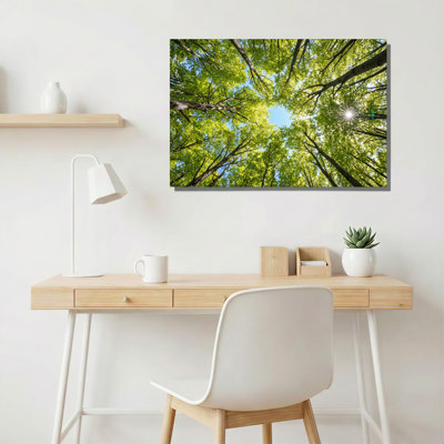 Bright Green Tree Branches And Leaves Over Blue Sky With Sun Flare Canvas Wall Art
