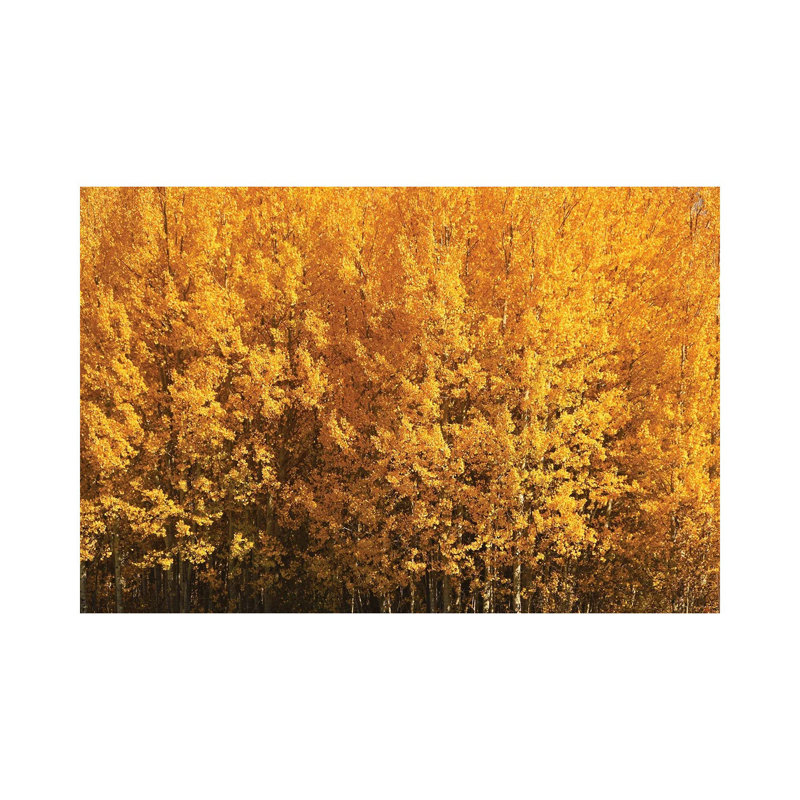 Aspen Gold by Brian Wolf - No Frame Gallery-Wrapped Canvas Giclée on Canvas