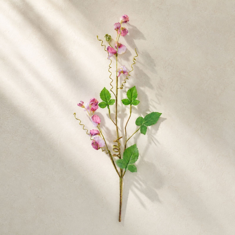 Vaporisateur de pois sucrés (ensemble de 6), Mauve, vert, brun