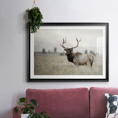 " Grand Elk "
