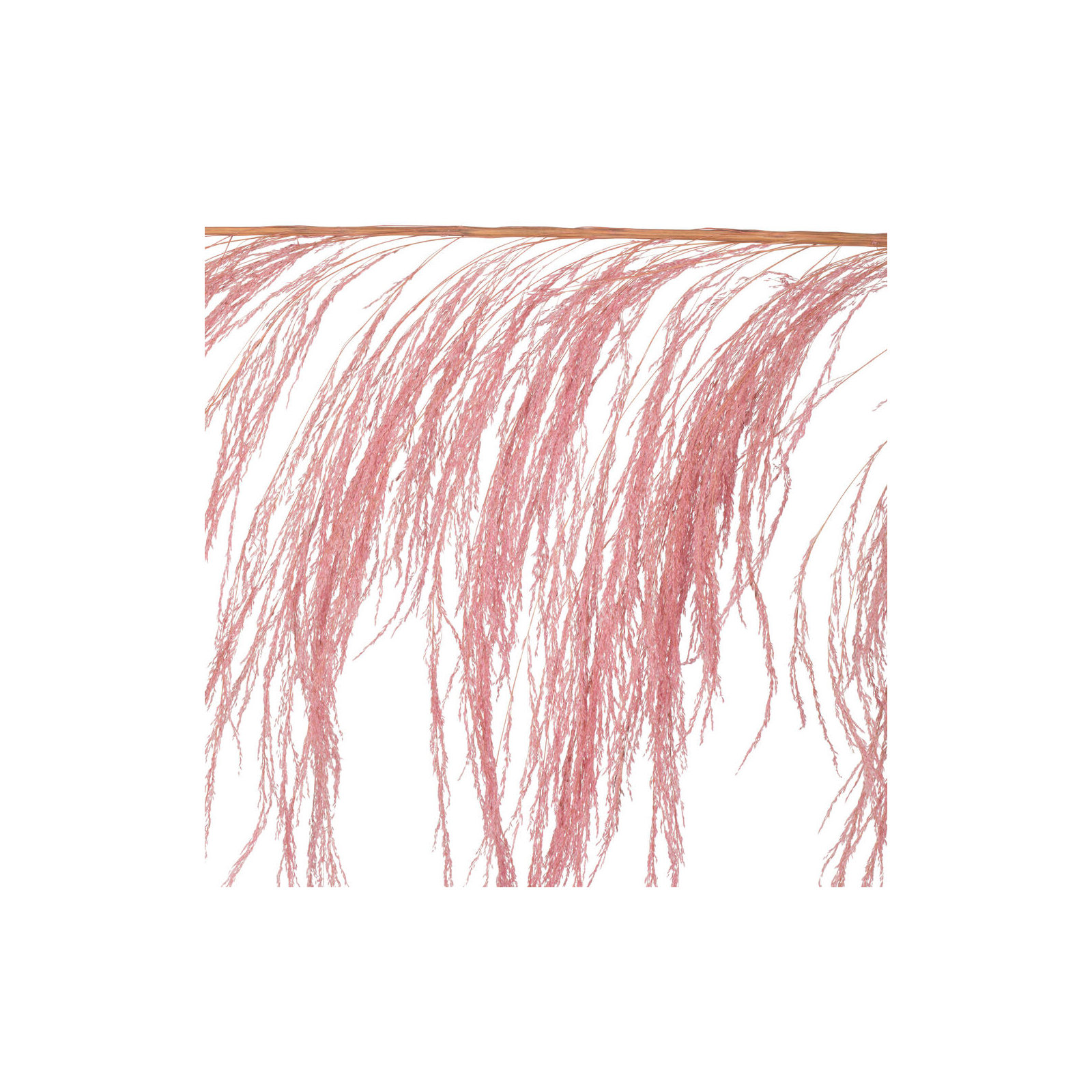 Lei 71'' Palm Plant, Light Pink