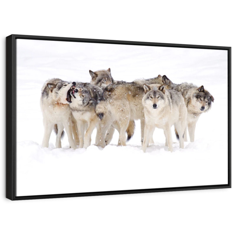 «Timber Wolf Pack Wall Art», H 29 po x l 43 po