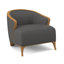 Penegrine Upholstered Accent Chair-71069820-71594658