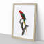 Papuan Lorikeet by F. Levaillant - Framed Print-55577932-55577935
