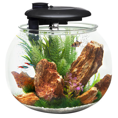 Grand aquarium Aquasphere 360 - 14 gallons