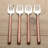 Naiya Stainless Steel Serving Fork