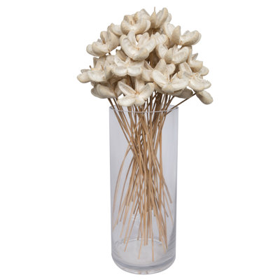 20'' Plant