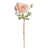 Rose est en rupture de stock