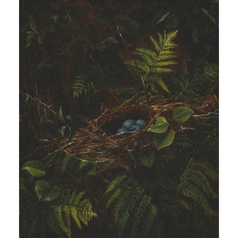 «Bird's Nest and Ferns» par Fidelia Bridges - Art mural sur toile tendue avec châssis