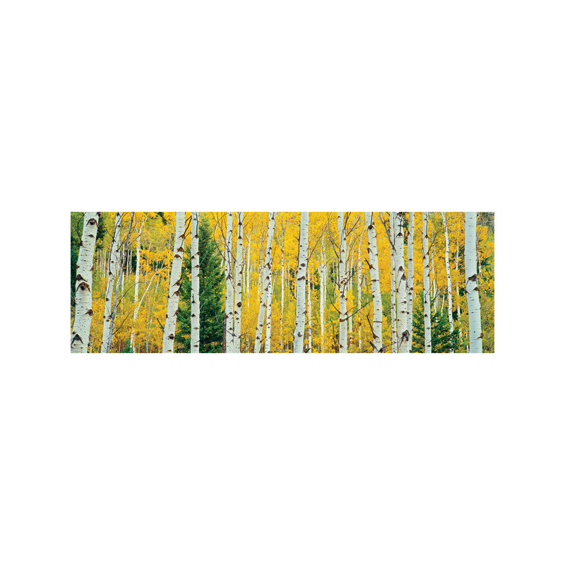 Aspen Grove, Granite Canyon Trail, Grand Teton National Park, Jackson Hole Valley, Teton County, Wyoming, USA - Wrapped Canvas Panoramic Print