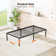 Lutherville 14'' Black Metal Platform Bed Frame With Steel Slat Support, No Box Spring Needed