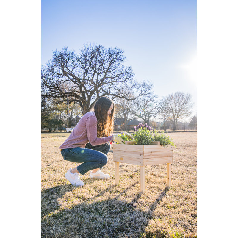 Graylie Wood Elevated Planter