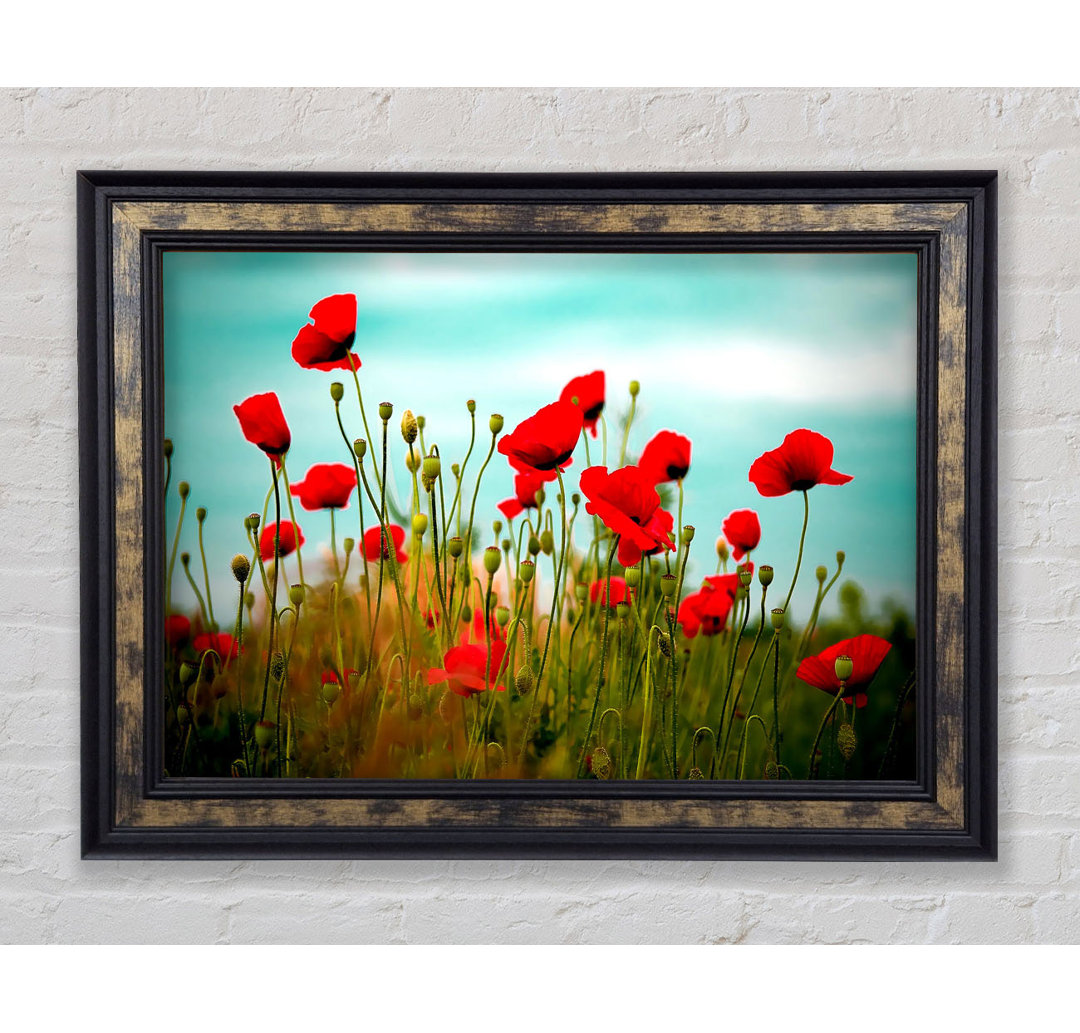 Beautiful Poppy Field Skies - Einzelner Bilderrahmen Kunstdrucke