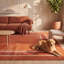 Tapis Rapids2 moderne, minimaliste, à bordure géométrique orange, rouge et crème, lavable à la machine, antidérapant, à poils courts, pour l'intérieur et l'extérieur, adapté aux animaux domestiques, idéal pour le salon, la chambre, la salle à manger, l'entrée, le couloir ou le bureau.-1109058691