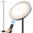 Johntay 69'' LED Dimmable Torchiere Corner Floor Lamp with Remote-1493209519