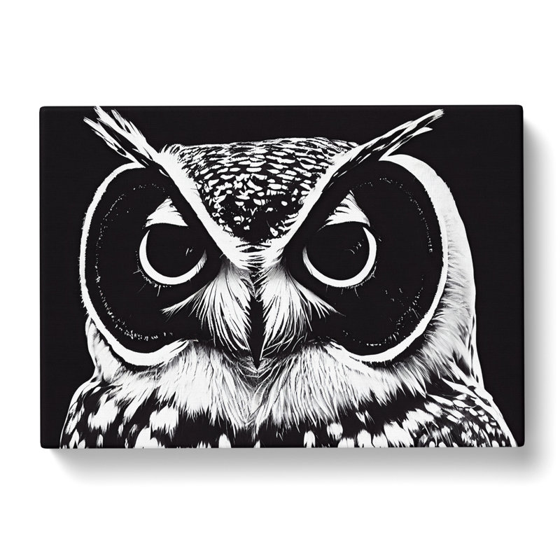Striking Owl Art - Wrapped Canvas, 35cm H x 50cm W x 3cm D
