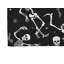 Tapis d'intérieur antidérapant Skeleton Boogie-469361004-469361005